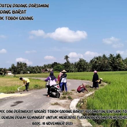 Nagari Toboh Gadang Barat Bergelora: Sinergi Luar Biasa antara LPM, PKK, dan Perangkat Nagari dalam 