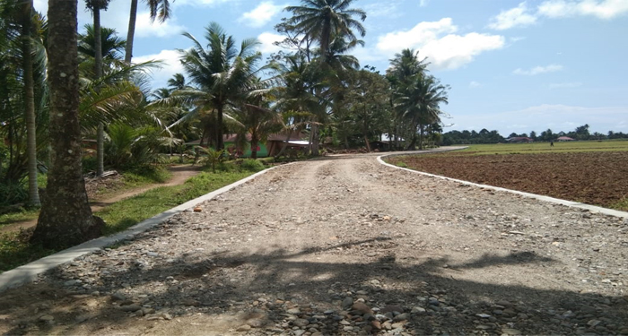 Pembukaan dan Pengerasan Jalan Toboh Koto Panjang - Toboh Tangah dari awal hingga Akhir